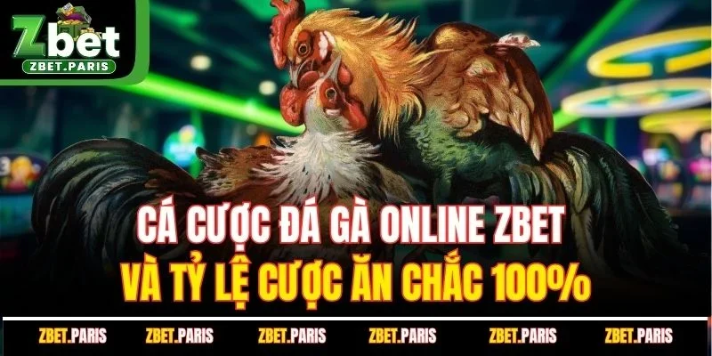 Cá cược đá gà online ZBET Và Tỷ Lệ Cược Ăn Chắc 100%