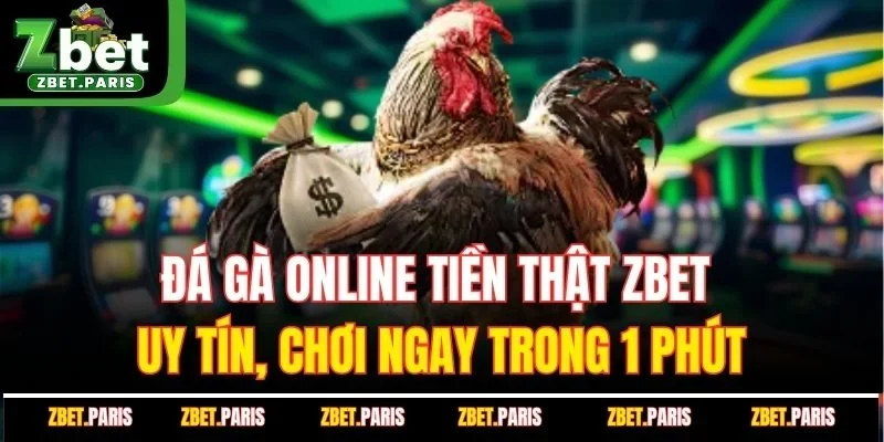Đá Gà Online Tiền Thật ZBET - Uy Tín, Chơi Ngay Trong 1 Phút