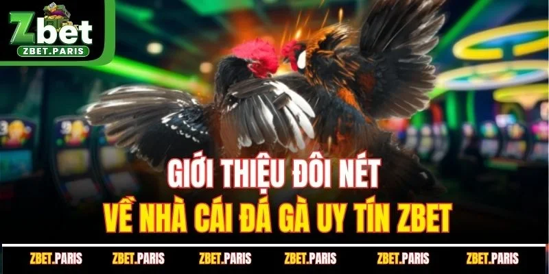 Giới thiệu đôi nét về nhà cái đá gà uy tín ZBET