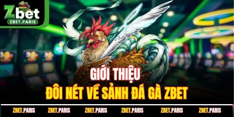 Giới thiệu đôi nét về sảnh đá gà ZBET