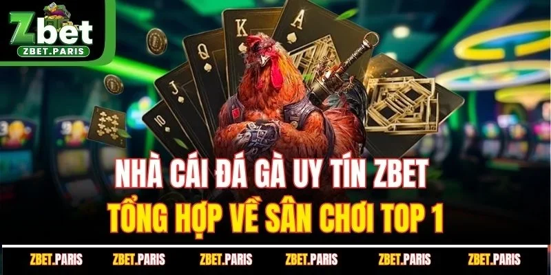 Nhà Cái Đá Gà Uy Tín ZBET - Tổng Hợp Về Sân Chơi Top 1