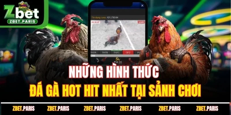 Những hình thức đá gà hot hit nhất tại sảnh chơi