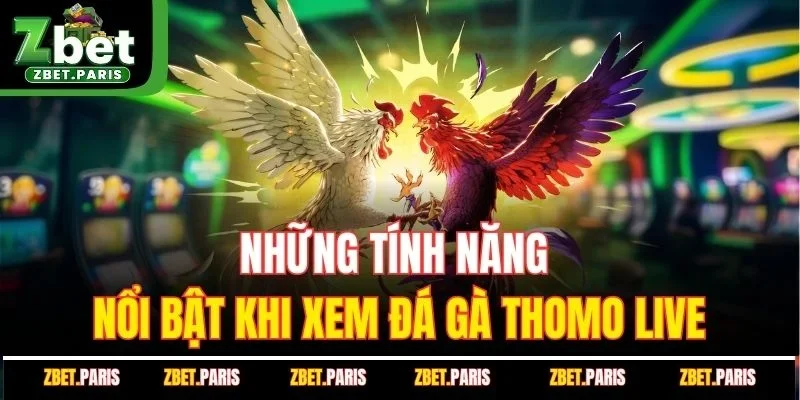 Những tính năng nổi bật khi xem đá gà thomo live
