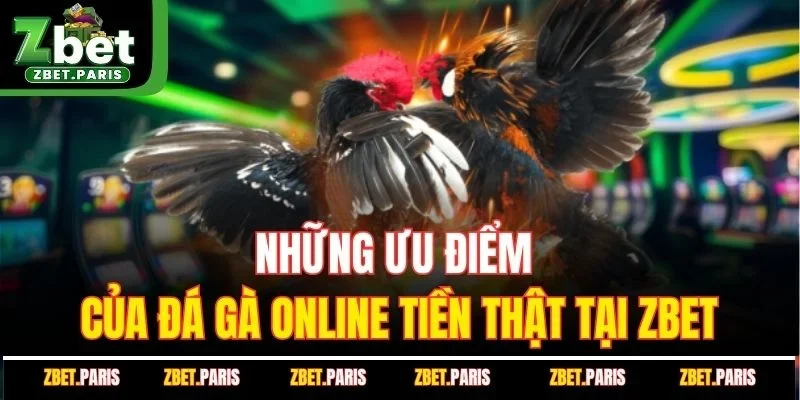 Những ưu điểm của đá gà online tiền thật tại ZBET