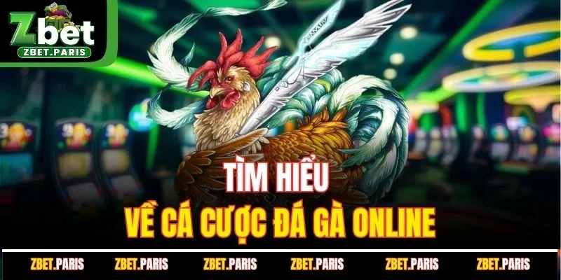Tìm hiểu về cá cược đá gà online là gì