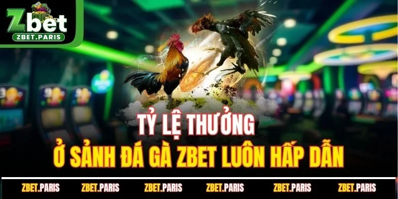 Tỷ lệ thưởng ở sảnh đá gà ZBET luôn hấp dẫn